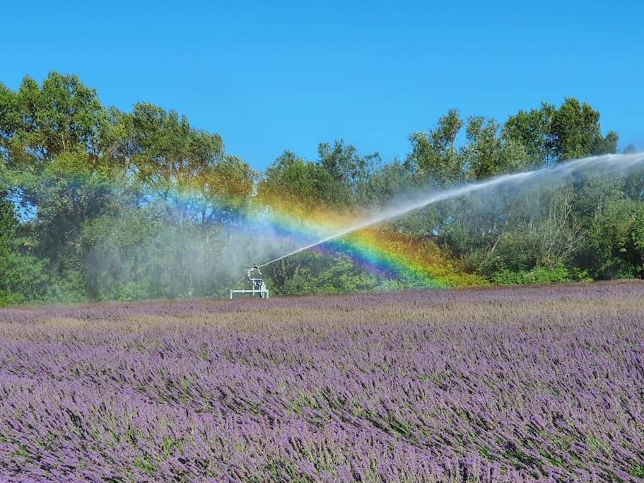 L'Ardeche En Provence Avec Jardin Ombrage Villa Pont-Saint-Esprit Kültér fotó